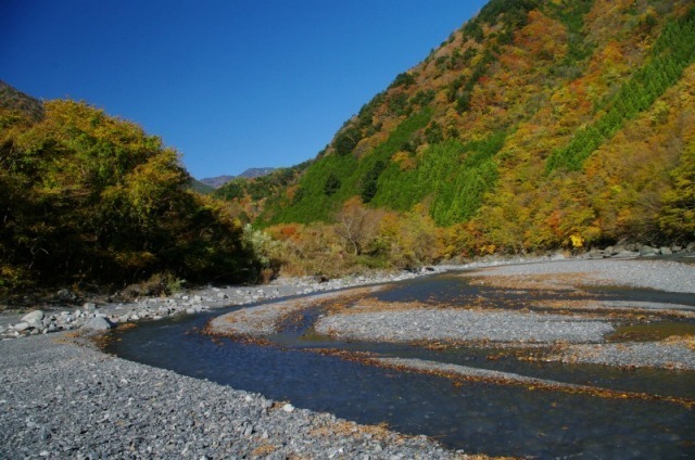 t2-1.jpg